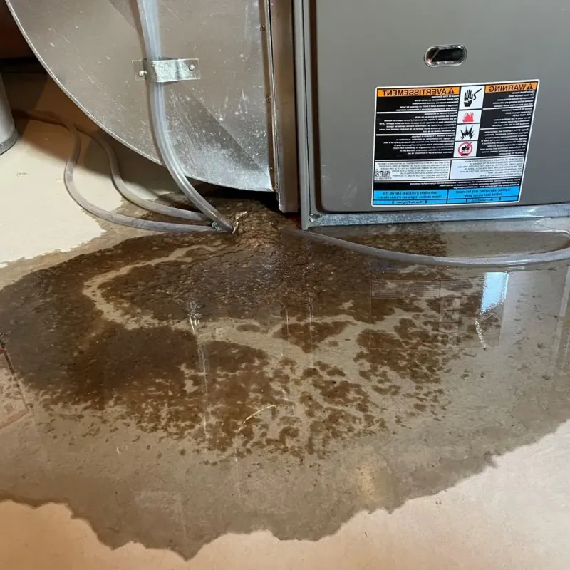 Pipe Burst and Leak Restoration in Cloverport, KY