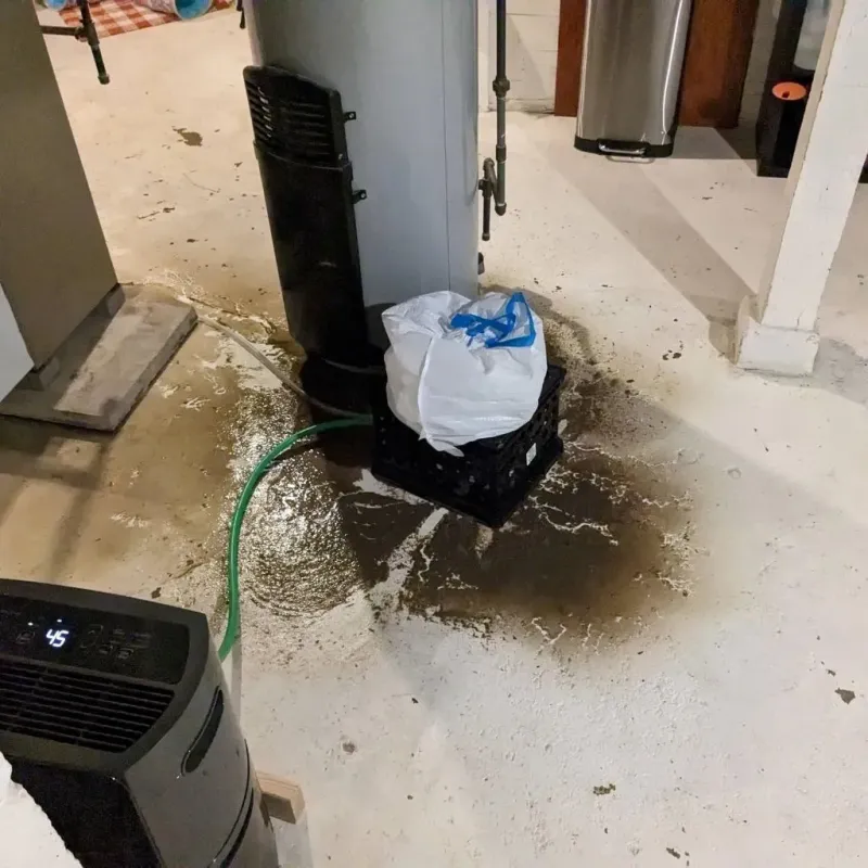 Sewage Backup Cleanup Service in Cloverport, KY